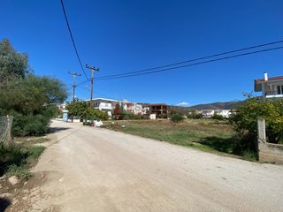 Οικόπεδο 516 τ.μ. για πώληση, Αργολίδα, Ασίνη-thumb-13