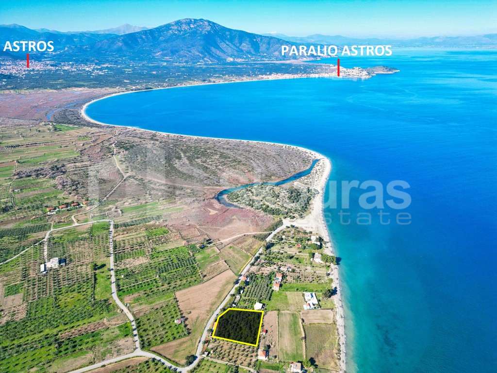 Αγροτεμάχια 4.200 τ.μ. προς πώληση, Άγιος Ανδρέας Βόρειας Κυνουρίας