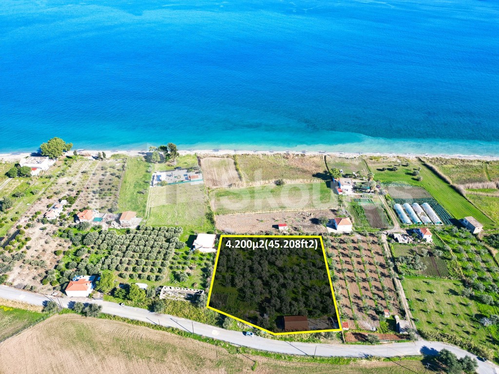 Αγροτεμάχια 4.200 τ.μ. προς πώληση, Άγιος Ανδρέας Βόρειας Κυνουρίας