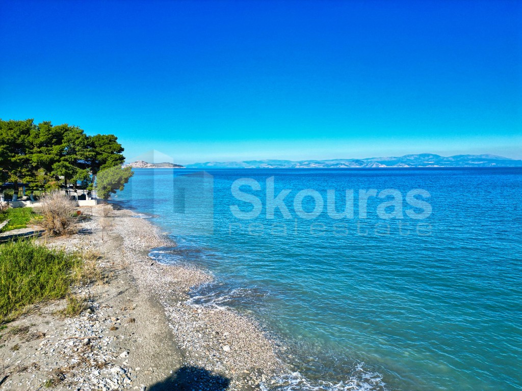 Αγροτεμάχια 4.200 τ.μ. προς πώληση, Άγιος Ανδρέας Βόρειας Κυνουρίας