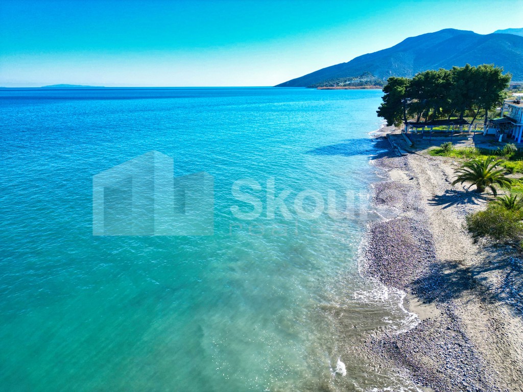 Αγροτεμάχια 4.200 τ.μ. προς πώληση, Άγιος Ανδρέας Βόρειας Κυνουρίας