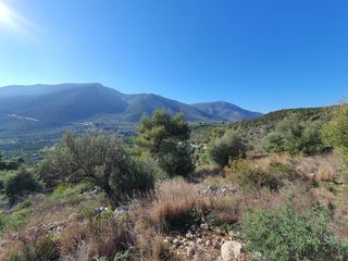 Οικόπεδο 2.000 τ.μ. για πώληση, Αργολίδα, Επίδαυρος-thumb-14