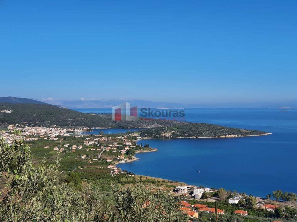 Αγροτεμάχια 4.260 τ.μ. προς πώληση, Αρχαία Επίδαυρος