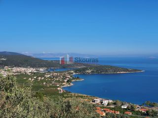 Αγροτεμάχια 4.260 τ.μ. για πώληση