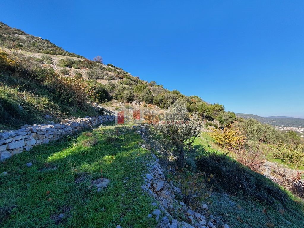 Αγροτεμάχια 4.260 τ.μ. προς πώληση, Αρχαία Επίδαυρος