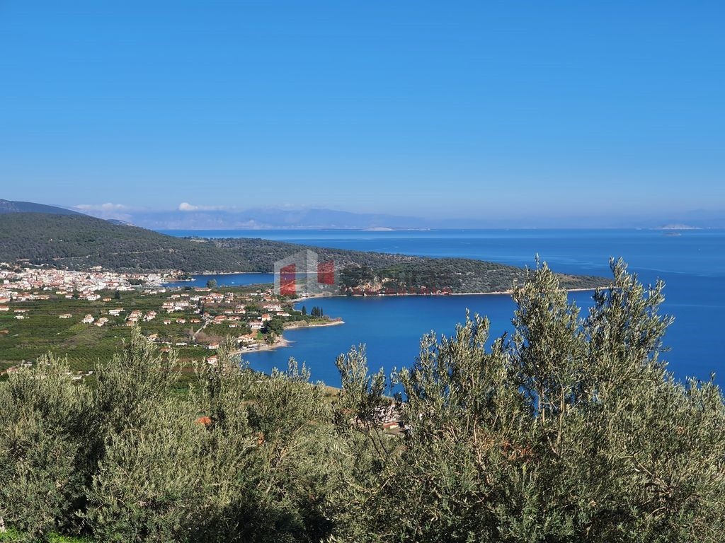 Αγροτεμάχια 4.260 τ.μ. προς πώληση, Αρχαία Επίδαυρος