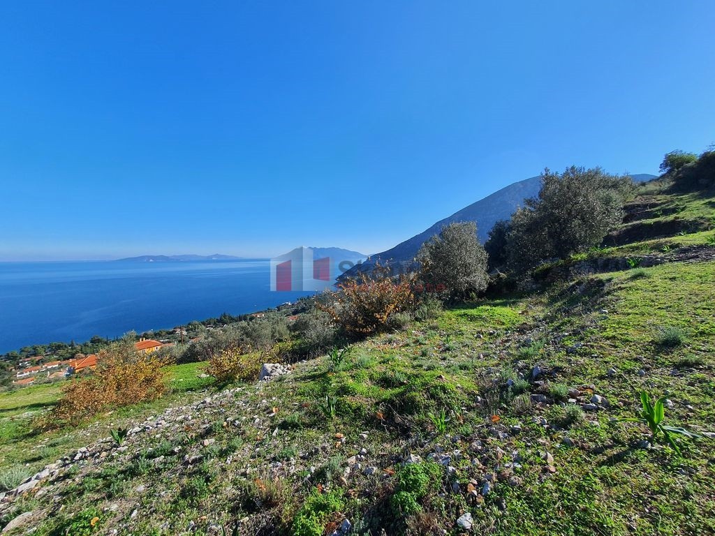 Αγροτεμάχια 4.260 τ.μ. προς πώληση, Αρχαία Επίδαυρος