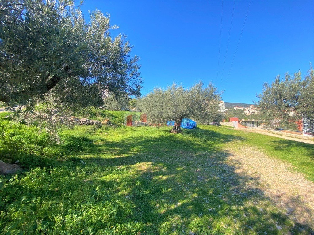 Οικόπεδο 707 τ.μ. προς πώληση, Ξηροπήγαδο Βόρειας Κυνουρίας