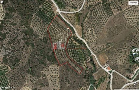 Αγροτεμάχια 16.000 τ.μ. για πώληση