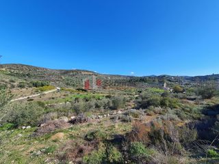 Αγροτεμάχια 16.000 τ.μ. για πώληση, Αργολίδα, Ναύπλιο-thumb-2