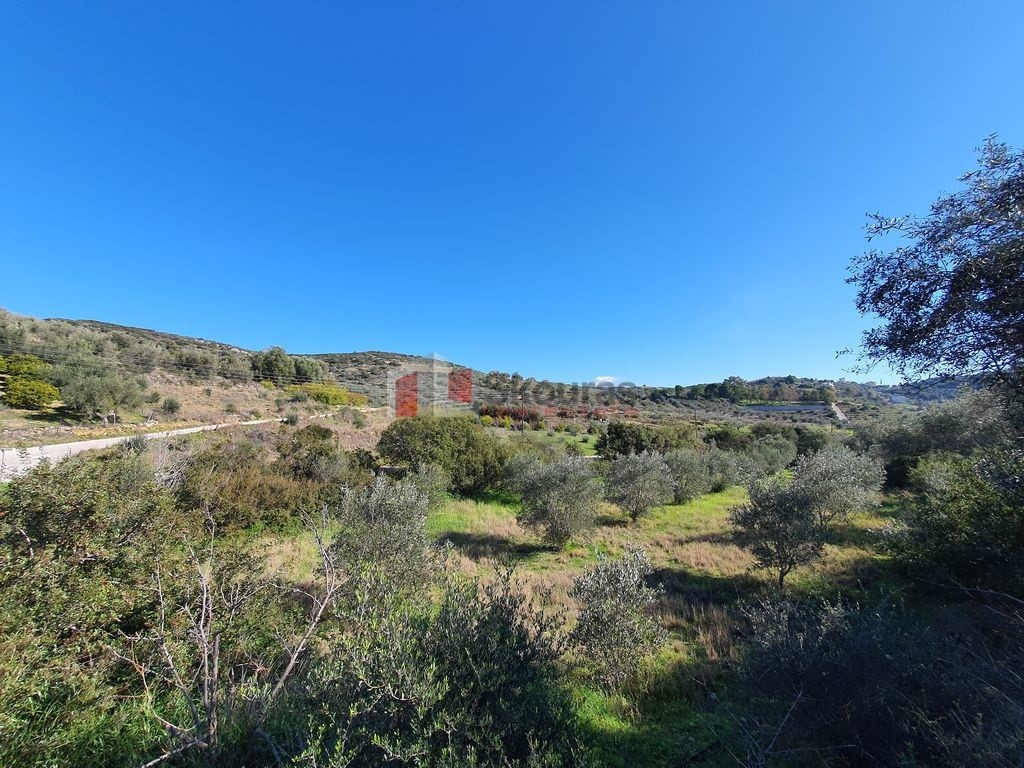 Αγροτεμάχια 16.000 τ.μ. προς πώληση, Πυργιώτικα