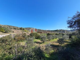 Αγροτεμάχια 16.000 τ.μ. για πώληση, Αργολίδα, Ναύπλιο-thumb-1