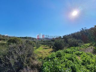 Αγροτεμάχια 16.000 τ.μ. για πώληση, Αργολίδα, Ναύπλιο-thumb-12