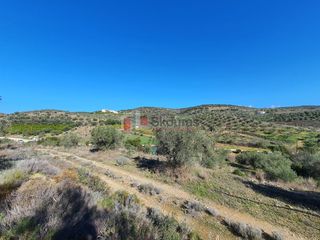 Αγροτεμάχια 16.000 τ.μ. για πώληση, Αργολίδα, Ναύπλιο-thumb-21