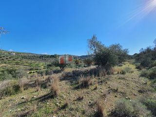 Αγροτεμάχια 16.000 τ.μ. για πώληση, Αργολίδα, Ναύπλιο-thumb-15