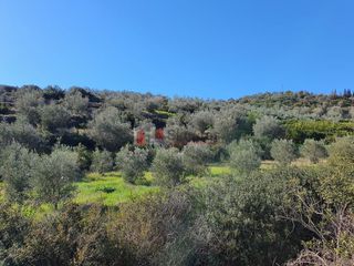 Αγροτεμάχια 16.000 τ.μ. για πώληση, Αργολίδα, Ναύπλιο-thumb-23