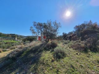 Αγροτεμάχια 16.000 τ.μ. για πώληση, Αργολίδα, Ναύπλιο-thumb-13