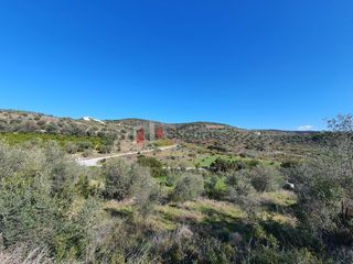 Αγροτεμάχια 16.000 τ.μ. για πώληση, Αργολίδα, Ναύπλιο-thumb-6