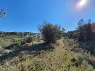 Αγροτεμάχια 16.000 τ.μ. για πώληση, Αργολίδα, Ναύπλιο-thumb-18