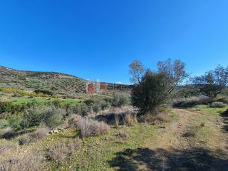 Αγροτεμάχια 16.000 τ.μ. για πώληση, Αργολίδα, Ναύπλιο-thumb-11