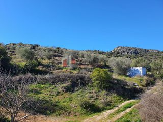 Αγροτεμάχια 16.000 τ.μ. για πώληση, Αργολίδα, Ναύπλιο-thumb-24