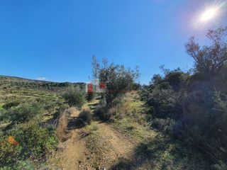 Αγροτεμάχια 16.000 τ.μ. για πώληση, Αργολίδα, Ναύπλιο-thumb-8
