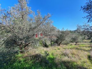 Αγροτεμάχια 16.000 τ.μ. για πώληση, Αργολίδα, Ναύπλιο-thumb-4