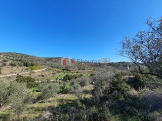 Αγροτεμάχια 16.000 τ.μ. για πώληση, Αργολίδα, Ναύπλιο-thumb-7