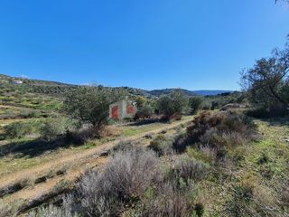 Αγροτεμάχια 16.000 τ.μ. για πώληση, Αργολίδα, Ναύπλιο-thumb-17