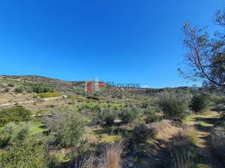 Αγροτεμάχια 16.000 τ.μ. για πώληση, Αργολίδα, Ναύπλιο-thumb-9