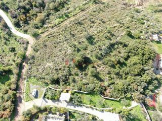 Οικόπεδο 1.400 τ.μ. για πώληση, Μεσσηνία, Λεύκτρος-thumb-1