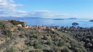 Αγροτεμάχια 7.200 τ.μ. για πώληση, Αργολίδα, Ασίνη-thumb-1
