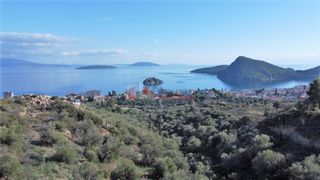 Αγροτεμάχια 7.200 τ.μ. για πώληση