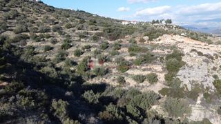 Αγροτεμάχια 7.200 τ.μ. για πώληση, Αργολίδα, Ασίνη-thumb-23