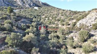 Αγροτεμάχια 7.200 τ.μ. για πώληση, Αργολίδα, Ασίνη-thumb-19