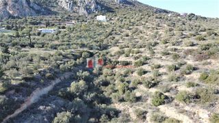 Αγροτεμάχια 7.200 τ.μ. για πώληση, Αργολίδα, Ασίνη-thumb-13