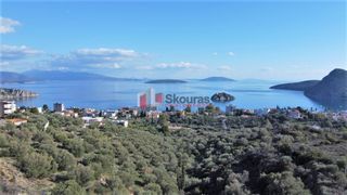 Αγροτεμάχια 7.200 τ.μ. για πώληση, Αργολίδα, Ασίνη-thumb-15