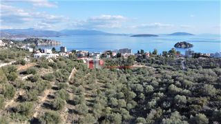 Αγροτεμάχια 7.200 τ.μ. για πώληση, Αργολίδα, Ασίνη-thumb-18