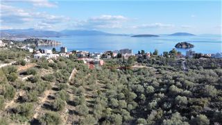 Αγροτεμάχια 7.200 τ.μ. για πώληση, Αργολίδα, Ασίνη-thumb-7