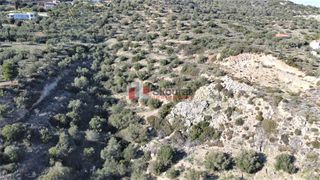 Αγροτεμάχια 7.200 τ.μ. για πώληση, Αργολίδα, Ασίνη-thumb-14