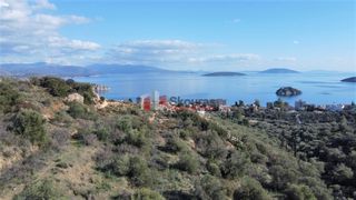 Αγροτεμάχια 7.200 τ.μ. για πώληση, Αργολίδα, Ασίνη-thumb-12