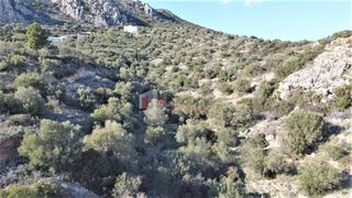 Αγροτεμάχια 7.200 τ.μ. για πώληση, Αργολίδα, Ασίνη-thumb-8