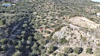 Αγροτεμάχια 7.200 τ.μ. για πώληση, Αργολίδα, Ασίνη-thumb-3