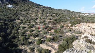 Αγροτεμάχια 7.200 τ.μ. για πώληση, Αργολίδα, Ασίνη-thumb-20