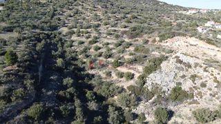 Αγροτεμάχια 7.200 τ.μ. για πώληση, Αργολίδα, Ασίνη-thumb-21