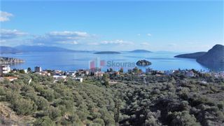 Αγροτεμάχια 7.200 τ.μ. για πώληση, Αργολίδα, Ασίνη-thumb-4