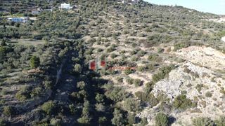 Αγροτεμάχια 7.200 τ.μ. για πώληση, Αργολίδα, Ασίνη-thumb-24