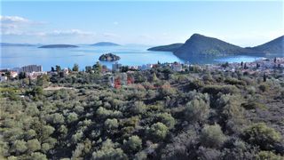 Αγροτεμάχια 7.200 τ.μ. για πώληση, Αργολίδα, Ασίνη-thumb-6