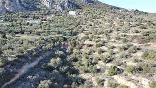 Αγροτεμάχια 7.200 τ.μ. για πώληση, Αργολίδα, Ασίνη-thumb-2