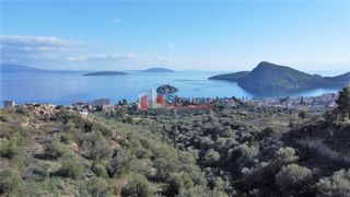 Αγροτεμάχια 7.200 τ.μ. για πώληση, Αργολίδα, Ασίνη-thumb-11